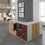 Synergy 6 Door Wooden Office Locker